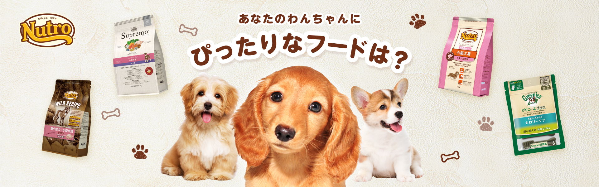 あなたの愛犬にぴったりなフードは？