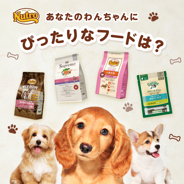 あなたの愛犬にぴったりなフードは？